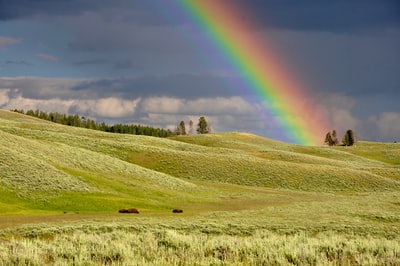 绿草岭附近的彩虹